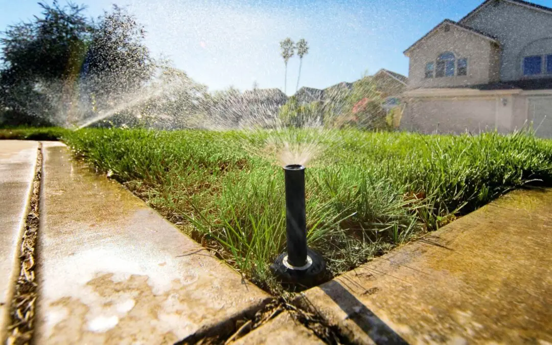 Summer Plumbing Tips Every Virginia Homeowner Needs