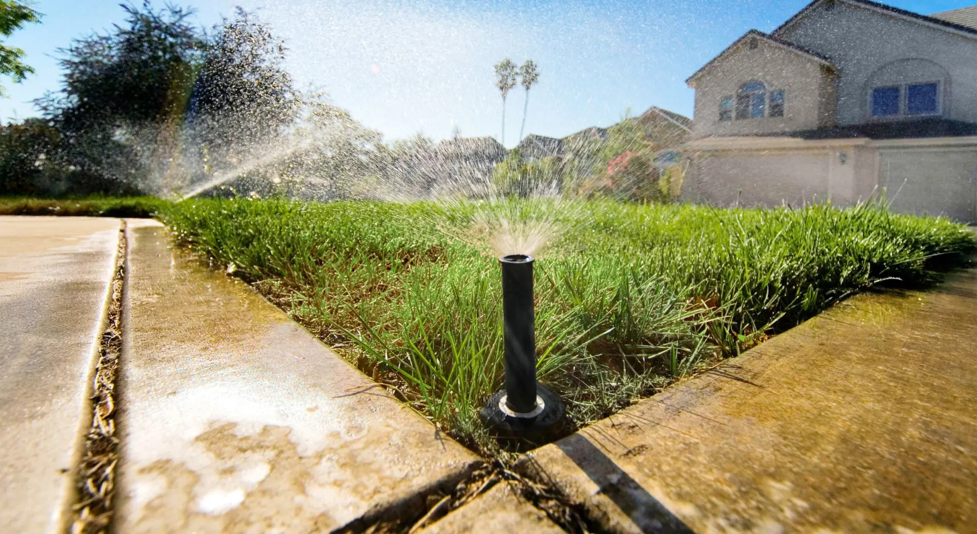 summer plumbing tips
