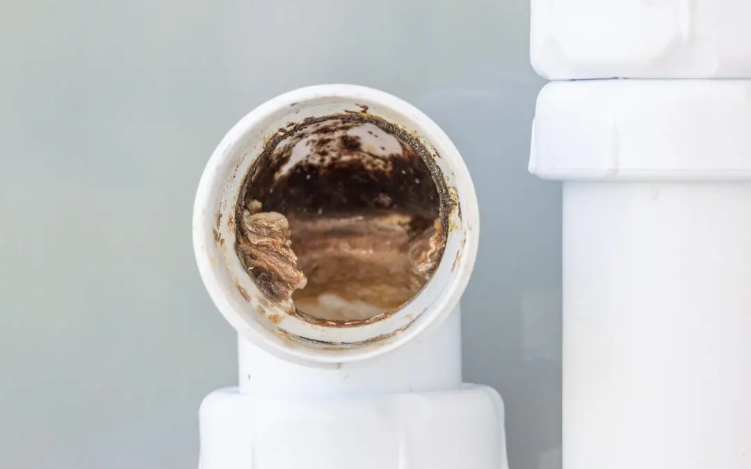 Why Slow Drains Are So Common in Bay Colony This May