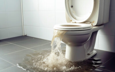 Expert Tips for DIY Toilet Repair: When to Call the Professionals