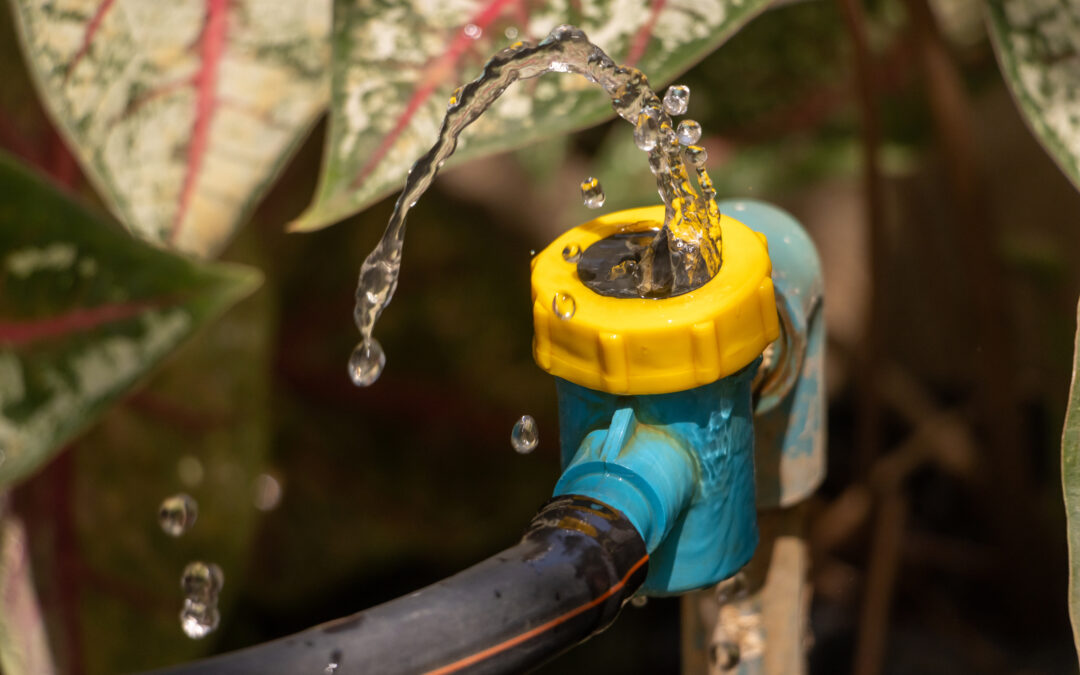 October Tips from Virginia Beach Plumbers for a Leak-Free Autumn